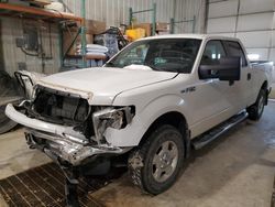 Ford salvage cars for sale: 2013 Ford F150 Supercrew