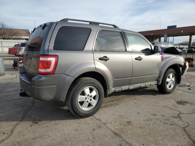 2009 Ford Escape XLT