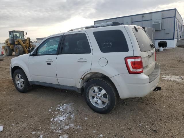 2009 Ford Escape Limited