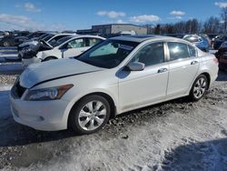 Salvage cars for sale at Wayland, MI auction: 2010 Honda Accord EXL