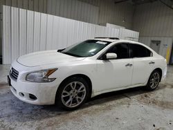 Nissan salvage cars for sale: 2014 Nissan Maxima S