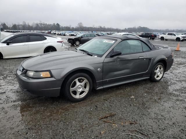 2004 Ford Mustang