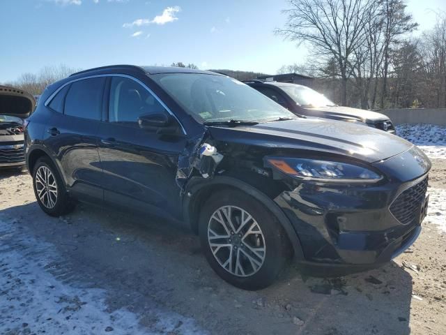 2021 Ford Escape SEL