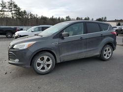 Salvage cars for sale at Windham, ME auction: 2016 Ford Escape SE