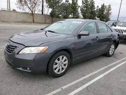 Toyota Camry salvage cars for sale: 2008 Toyota Camry LE