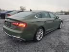 2024 Audi A5 Premium Plus 45