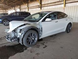 Salvage cars for sale at Phoenix, AZ auction: 2021 Tesla Model 3