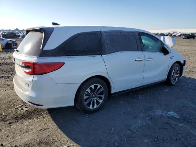 2024 Honda Odyssey EXL