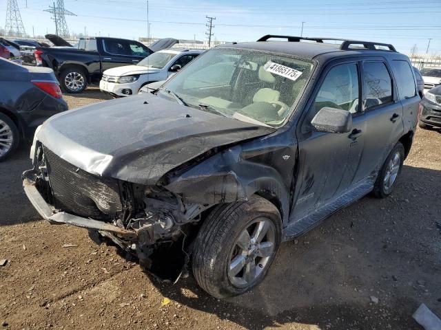 2008 Ford Escape XLT