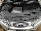 2013 Lexus RX 450H