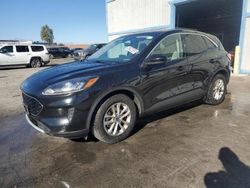 Salvage cars for sale at North Las Vegas, NV auction: 2020 Ford Escape SE