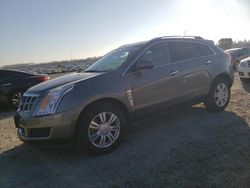 Run And Drives Cars for sale at auction: 2011 Cadillac SRX Luxury Collection