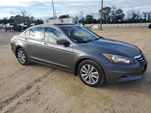 2011 Honda Accord EXL