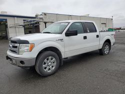 Ford salvage cars for sale: 2014 Ford F150 Supercrew