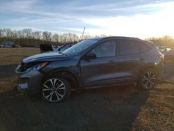 Ford Escape se salvage cars for sale: 2022 Ford Escape SE