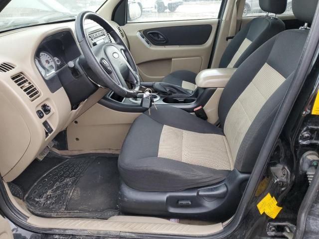 2007 Ford Escape XLT