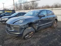 Salvage cars for sale at New Britain, CT auction: 2024 Porsche Macan Base