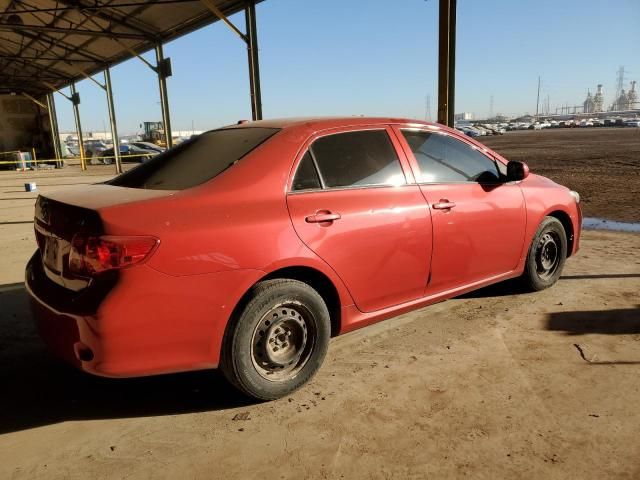 2010 Toyota Corolla Base