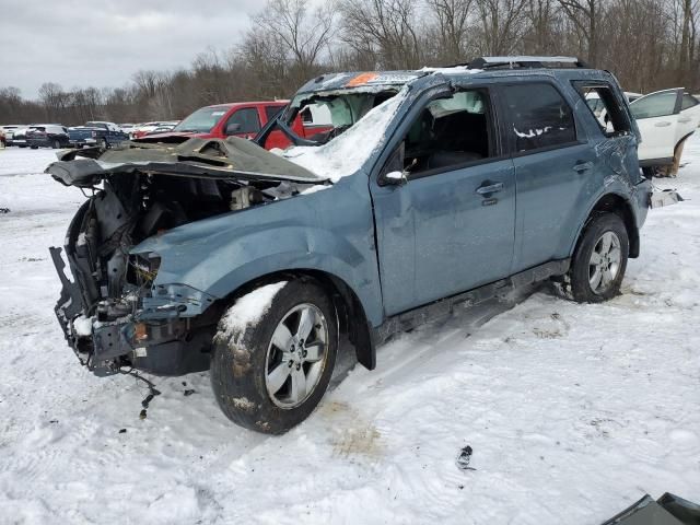 2012 Ford Escape Limited