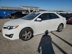 Salvage cars for sale at Earlington, KY auction: 2014 Toyota Camry L