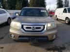 2009 Honda Pilot EX