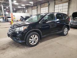 Salvage cars for sale from Copart Blaine, MN: 2013 Honda CR-V EX