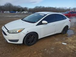 Ford Focus salvage cars for sale: 2016 Ford Focus SE