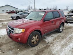 Salvage cars for sale at Pekin, IL auction: 2008 Ford Escape XLT