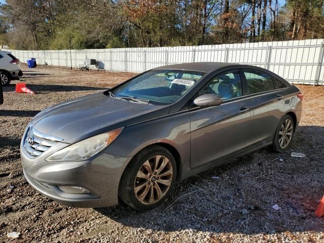 2011 Hyundai Sonata SE