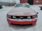 2005 Ford Mustang GT