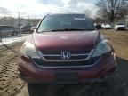 2011 Honda CR-V EXL