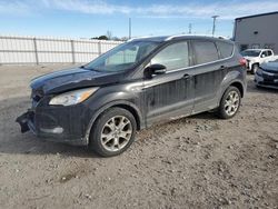 Salvage cars for sale at Appleton, WI auction: 2015 Ford Escape Titanium