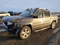 Honda Vehiculos salvage en venta: 2014 Honda Ridgeline RTL