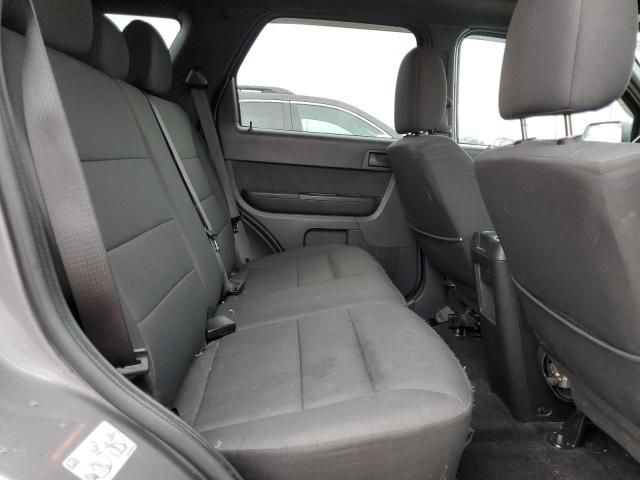 2011 Ford Escape XLT