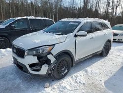 KIA Sorento salvage cars for sale: 2018 KIA Sorento EX