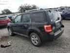 2010 Ford Escape Limited