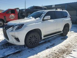 Salvage cars for sale at Colorado Springs, CO auction: 2022 Lexus GX 460