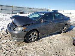 Salvage cars for sale at Walton, KY auction: 2011 Toyota Corolla Base