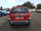 2005 Ford Escape XLT