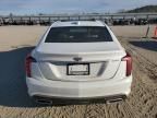 2023 Cadillac CT5 Luxury