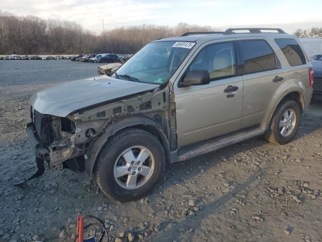 2010 Ford Escape XLT