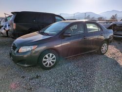 Salvage cars for sale at Magna, UT auction: 2010 Toyota Corolla Base