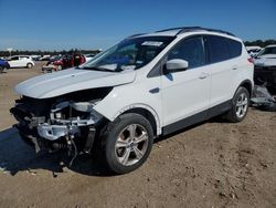 Salvage cars for sale at Houston, TX auction: 2013 Ford Escape SE