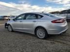 2014 Ford Fusion SE Hybrid