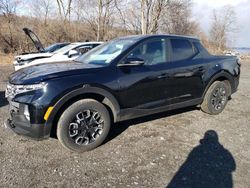 Salvage cars for sale at Marlboro, NY auction: 2023 Hyundai Santa Cruz SE