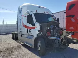 Freightliner Cascadia 126 Vehiculos salvage en venta: 2023 Freightliner Cascadia 126