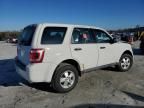 2010 Ford Escape XLS