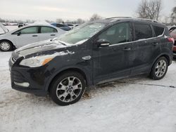 Salvage cars for sale from Copart Ontario Auction, ON: 2014 Ford Escape Titanium