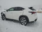 2019 Lexus NX 300H