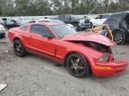 2005 Ford Mustang